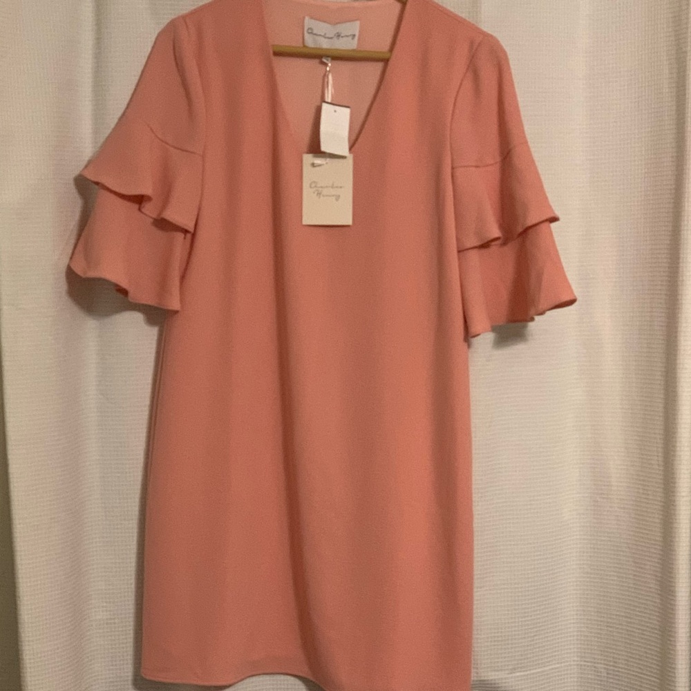 Shift Dress Blush rose NWT